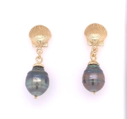14k Gold Shell and Pearl Drop Earrings